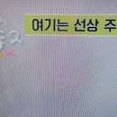 언니네산지직송2 이미지