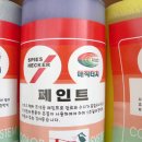 세계매직덴트