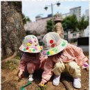 상록수어린이집 이미지