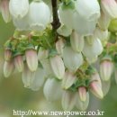 찬송농장 이미지