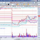 디아이인터내셔널 이미지