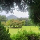 백운체력단련장 이미지