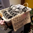 K팝스타코인노래뮤비방 이미지