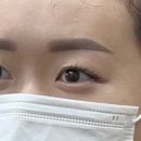 브로피시 이미지