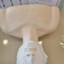 비젼의료기 | 천안피부학원 시작이반 피부관리사 그 시작을 도와드리겠습니다 :)