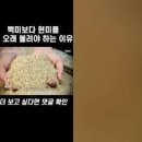 현미밥짓는법 밥 물양 현미밥 다이어트 음식 전기밥솥 밥하는법 이미지