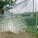 소프트마을(주) | 은하수 농원 은하수 아열대 마을 / 경기도 아이랑 갈만한 곳입니다