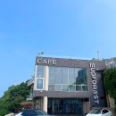 머드포레스트