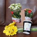 김해시농기계임대사업소대동분소 이미지