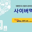 디에스피 이미지