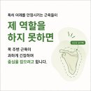 충정로 필라테스 | 목에 힘 들어가는 이유, 승모근이 자꾸 뭉치는 진짜 원인