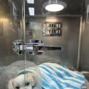 서원동물병원 | [3탄] 청주 나래동물의료센터 강아지 슬개골수술+고관절수술 후기 (feat. 드디어 반대쪽 다리도 완료 🥹!)