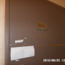 동탄숲속로 이미지