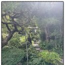 본가제주밥상 | 비 오는 날 더 예쁜 남양주맛집 본가제주밥상 후기