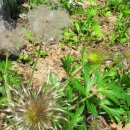 청북중학교 이미지