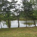 늘솔길근린공원 이미지