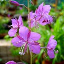 너 나 그리고 우리 이미지