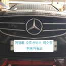 사각지카 이미지