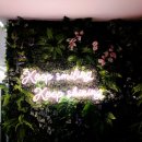 심플노래연습장 이미지