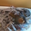 마수리길 이미지