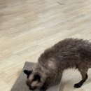 신유약국 이미지