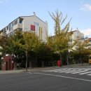 사파동128 이미지