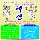 봉황의나라 고흥택견 전수관 이미지