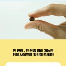 포러스트