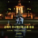 색소폰(저녁) | 나고야 여행 츠루마 공원 색소폰 사무라이, 아이랑 가도 될까? 솔직 후기