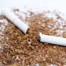 송파내안에의원 이미지