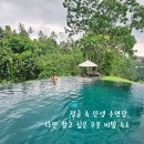 몽키 휘트니스 | 발리 우붓 리조트 추천, 알릴라 우붓 정글뷰 숙소 수영장 직접 가보니