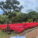 구름이 머무는 곳2 | 🍃[진도에서 만난 시간들] 구름과 숲 사이, 시간이 머무는 곳-운림산방