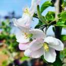 (사)대한어머니회중앙회 이미지