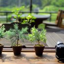 유명산캠핑장 이미지