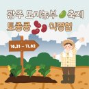 유일여인숙 | 도시농부축제 - 토종콩 식경험 체험 후기