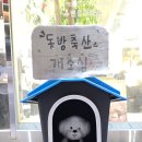 대승축산 이미지