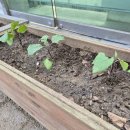 신애 어린이집 이미지