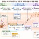 코네이스