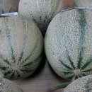 왜관농협 하나로마트 남부지점 이미지