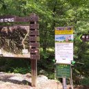 피제 이미지