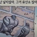 DIR. PT | 헬스 트레이너의 2달간 러닝 후기