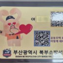 숲속은성 이미지