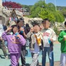 한국키즈태권도장 이미지