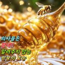 벌꿀 + 계피가루 의 탁월한 효능 이미지
