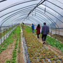 수미농장 이미지