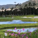 BEST 스크린골프 이미지