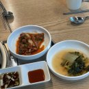 속리산 칼국수 맛집 "연송집" 내돈내산 솔직 후기 (feat. 물총칼국수, 해물파전)