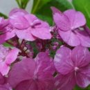 써니데이즈 이미지