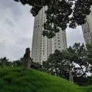 정유선생묘 이미지