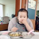 [육아일기] 생후 609일~615일 젤미마을 나희 일기_참말로 긴 여름이다